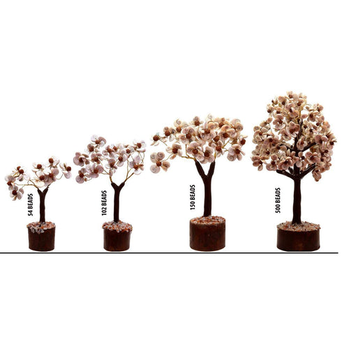 Pushkar Rudraksha Gomti Chakra Tree